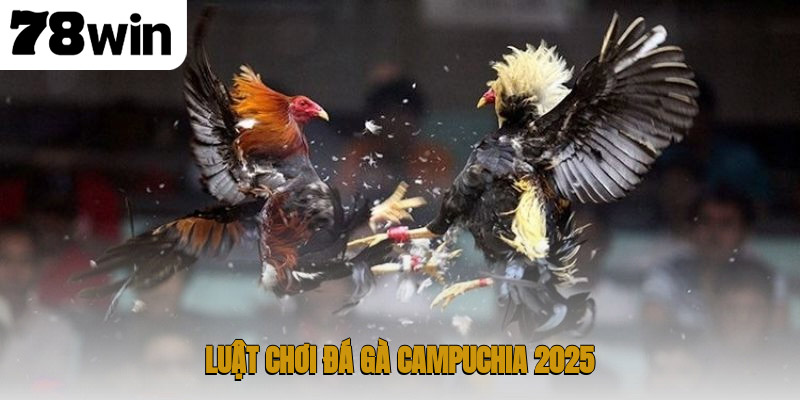 Luật chơi đá gà Campuchia 2025